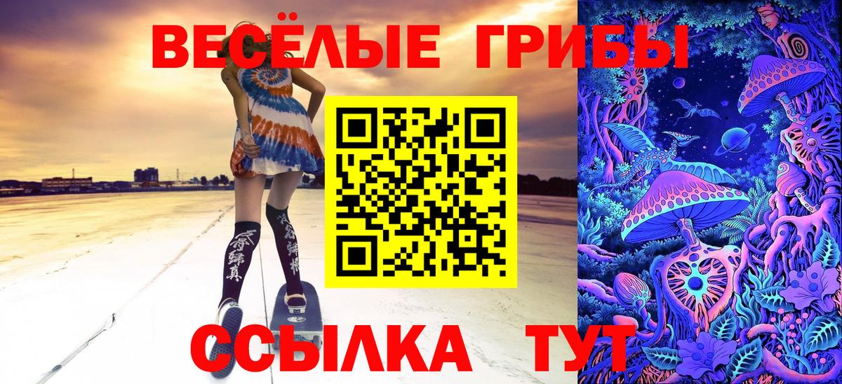 Галлюциногенные грибы прущие грибы  Вход с VPN  Димитровград  Псилоцибиновые грибы Psilocybe 
