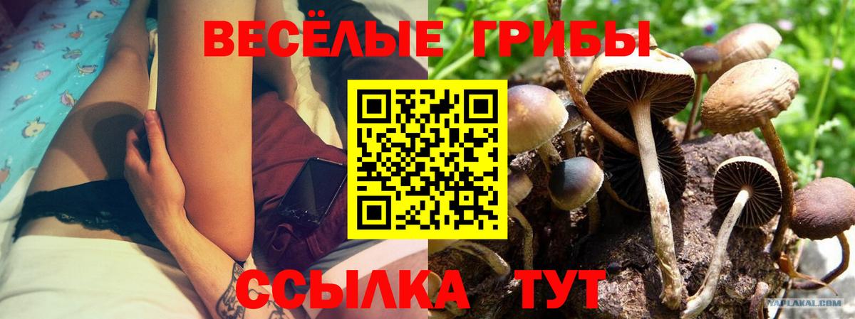 Галлюциногенные грибы мицелий Димитровград